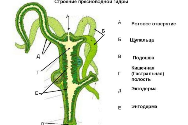 Где найти ссылку на кракен