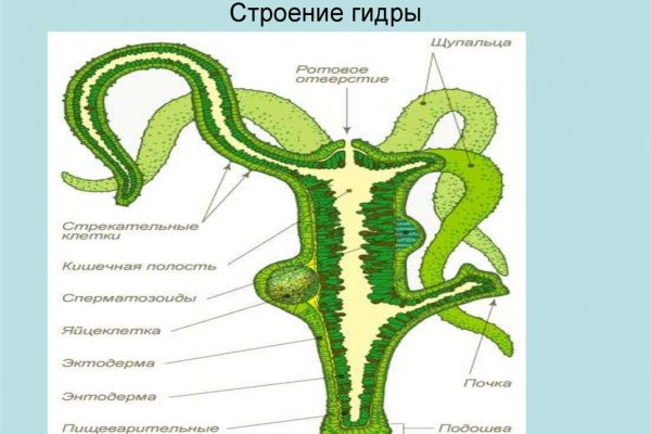 Кракен русский