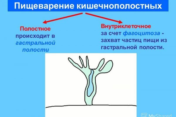 Как пополнить баланс кракен