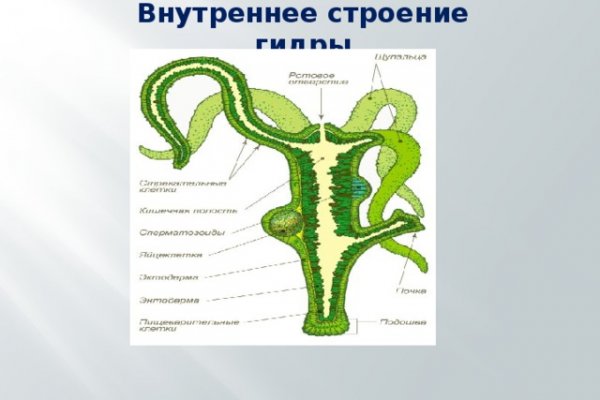 Кракен купить порошок krk market com